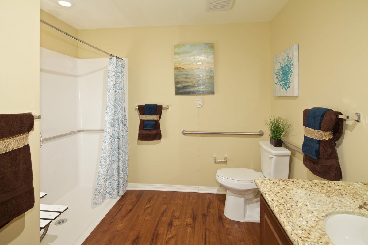A well-lit bathroom with a shower, toilet, and tasteful decorations.