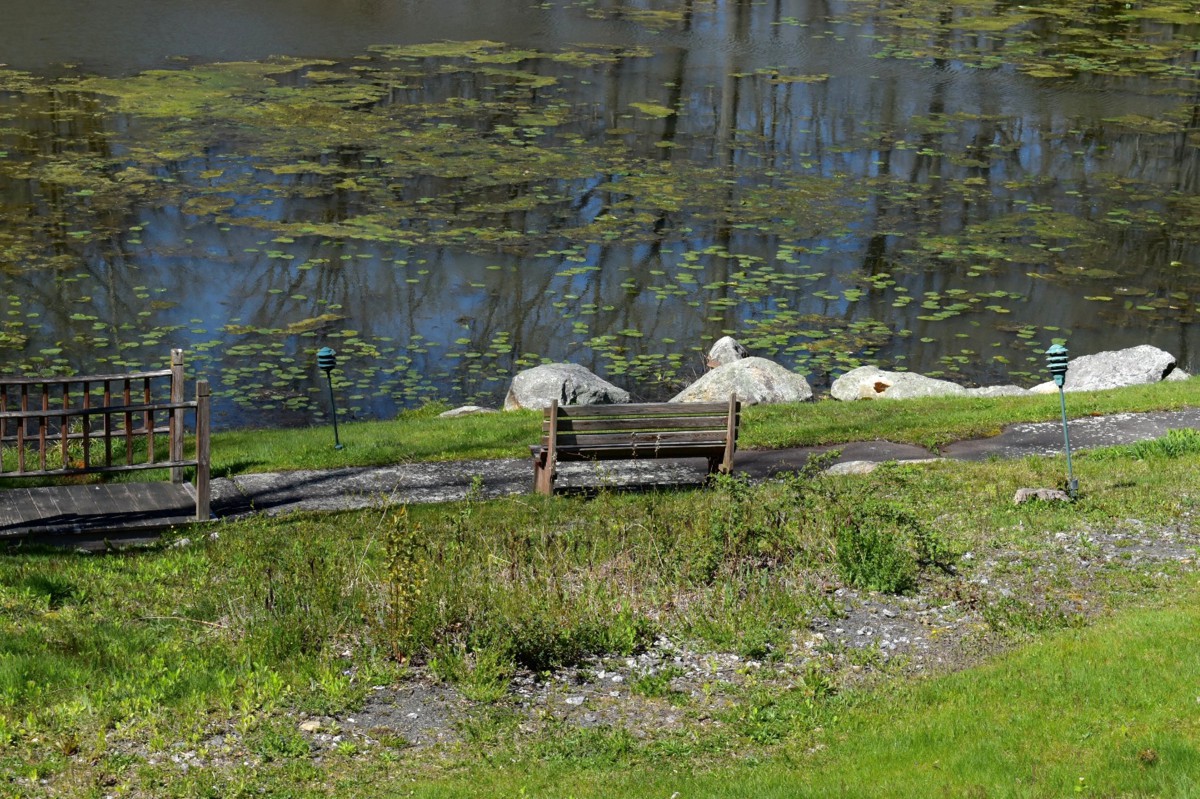 A serene park setting with a bench overlooking a lake surrounded by grass and rocks.