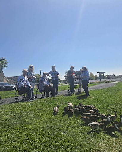 A community gathering on a sunny day, capturing moments of joy and connection.