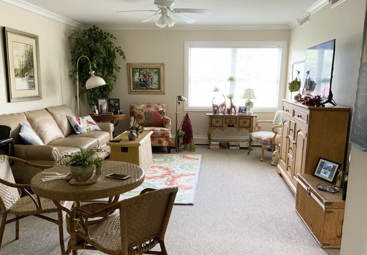 A cozy and bright living room with comfortable furniture and decorative elements.