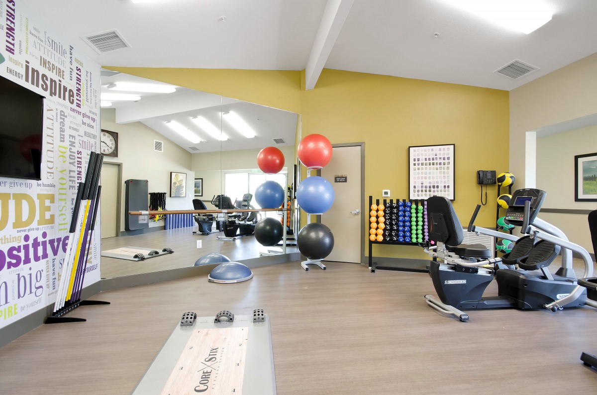 A modern gym with various exercise equipment and therapy balls.