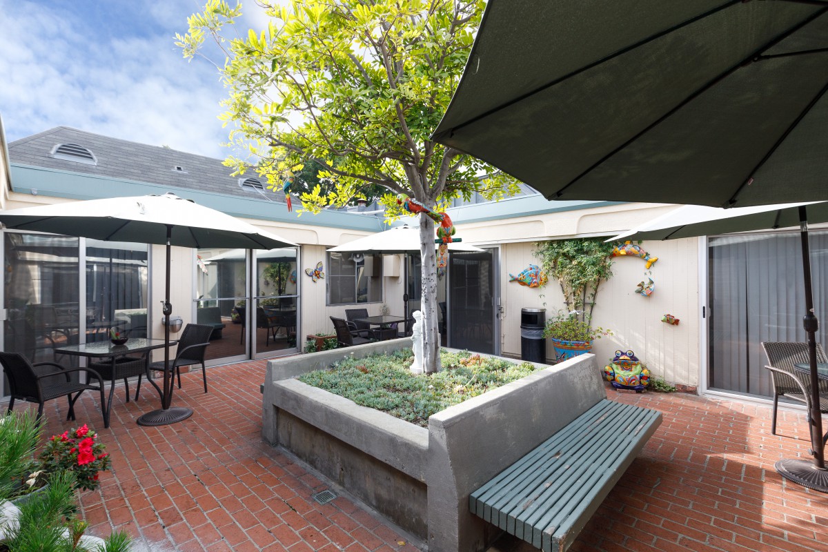 A serene courtyard with a central tree, surrounded by outdoor seating and shaded by large umbrellas.