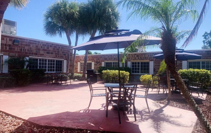A sunny patio with outdoor seating and palm trees.