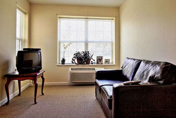 A minimalist living room featuring a sofa and a television with natural light streaming through the window.