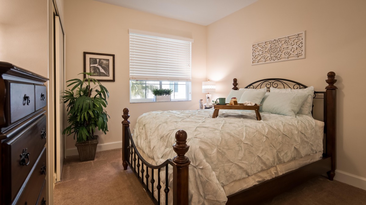 A cozy bedroom with a large bed, decorative pillows, and a bedside lamp, featuring a potted plant near the window.
