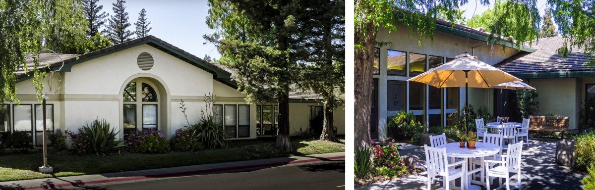 A suburban house surrounded by tall trees on a sunny day.