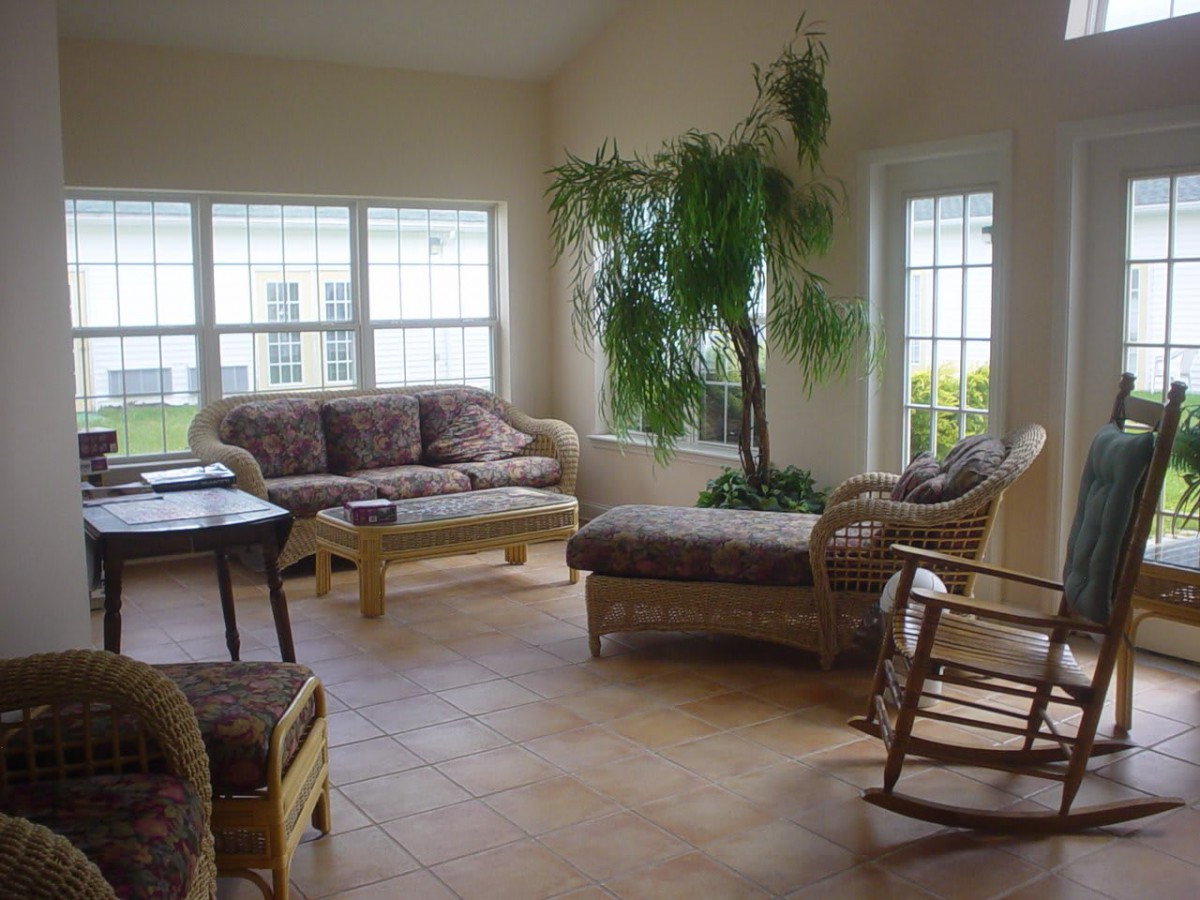 A cozy living room with comfortable seating, large windows, and a lush indoor plant.