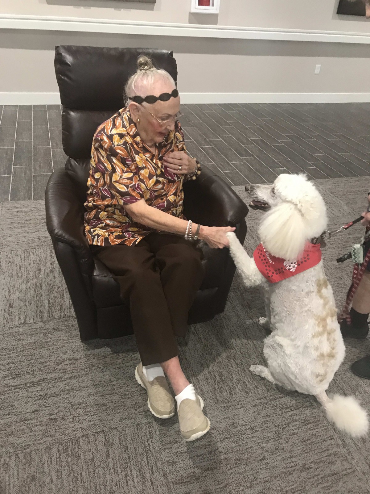 An elderly person sitting in a chair shaking hands with a white dog wearing a red bandana.