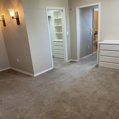 A spacious interior room featuring neutral colors, modern lighting, and carpet flooring.