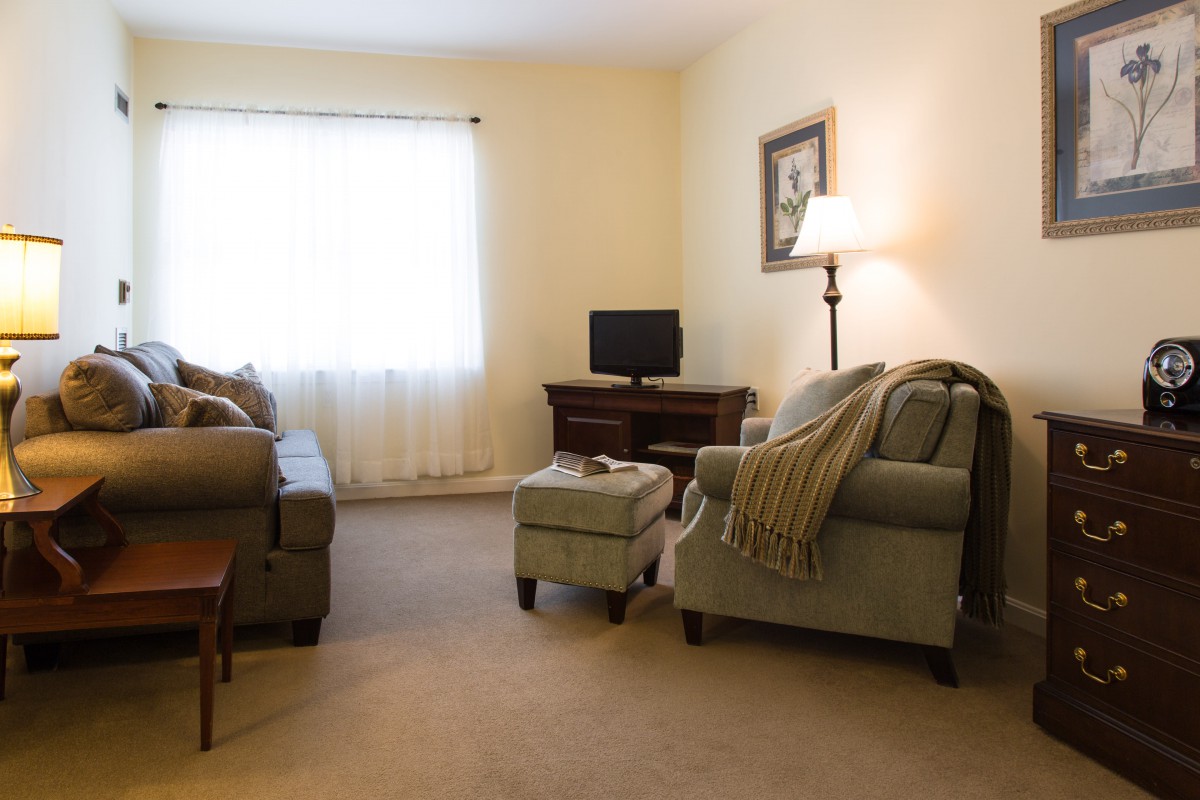 A cozy living room with sofas, an armchair, a lamp, and a small television.