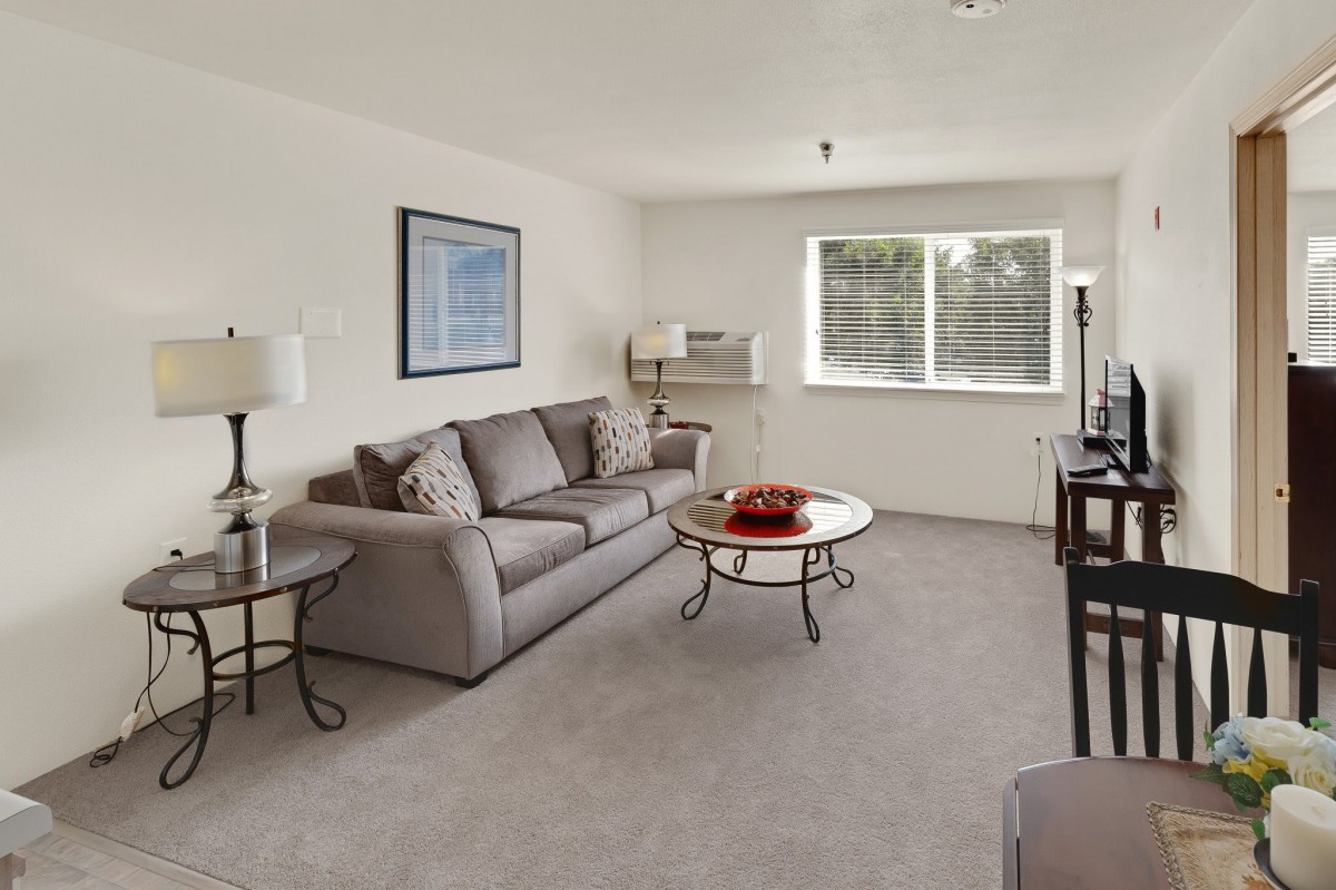 A cozy living room with a sofa, coffee table, and a window allowing natural light in.