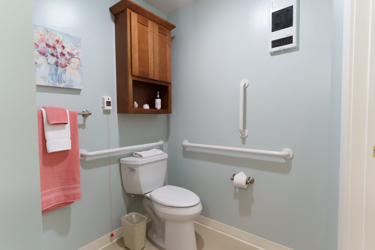 An accessible bathroom with a toilet, grab bars, and a wall-mounted storage cabinet.