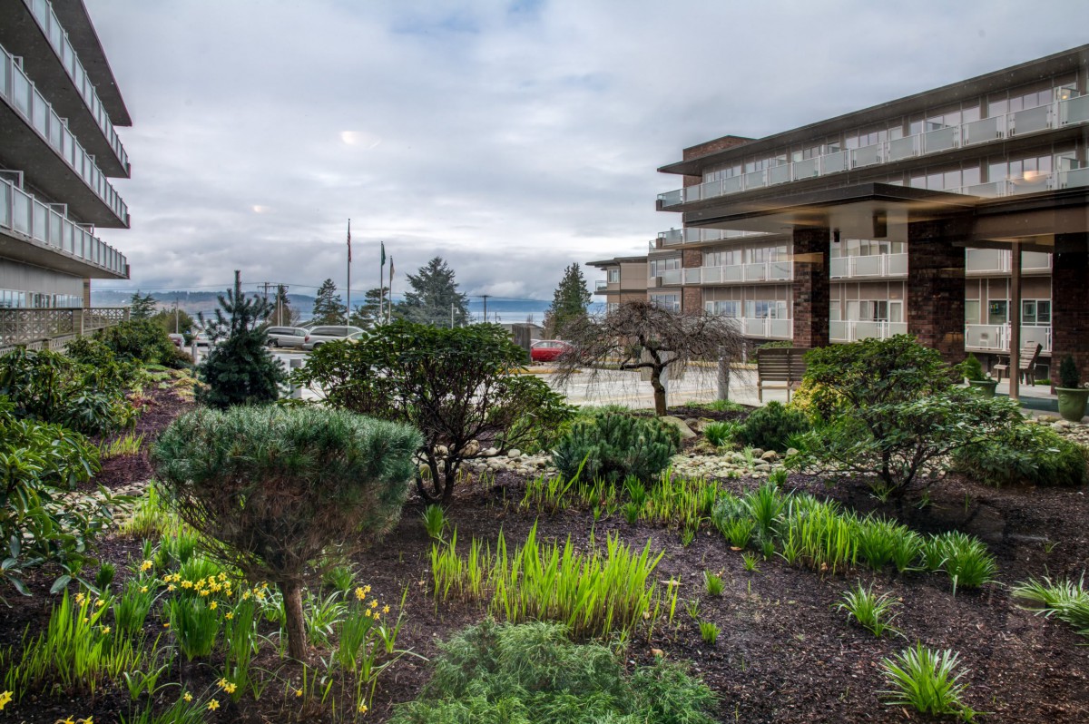 A lush garden with various plants and a modern building under a cloudy sky.