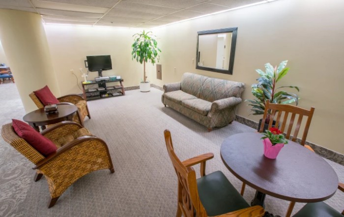 A cozy living room with a sofa, television, mirror, and indoor plants.