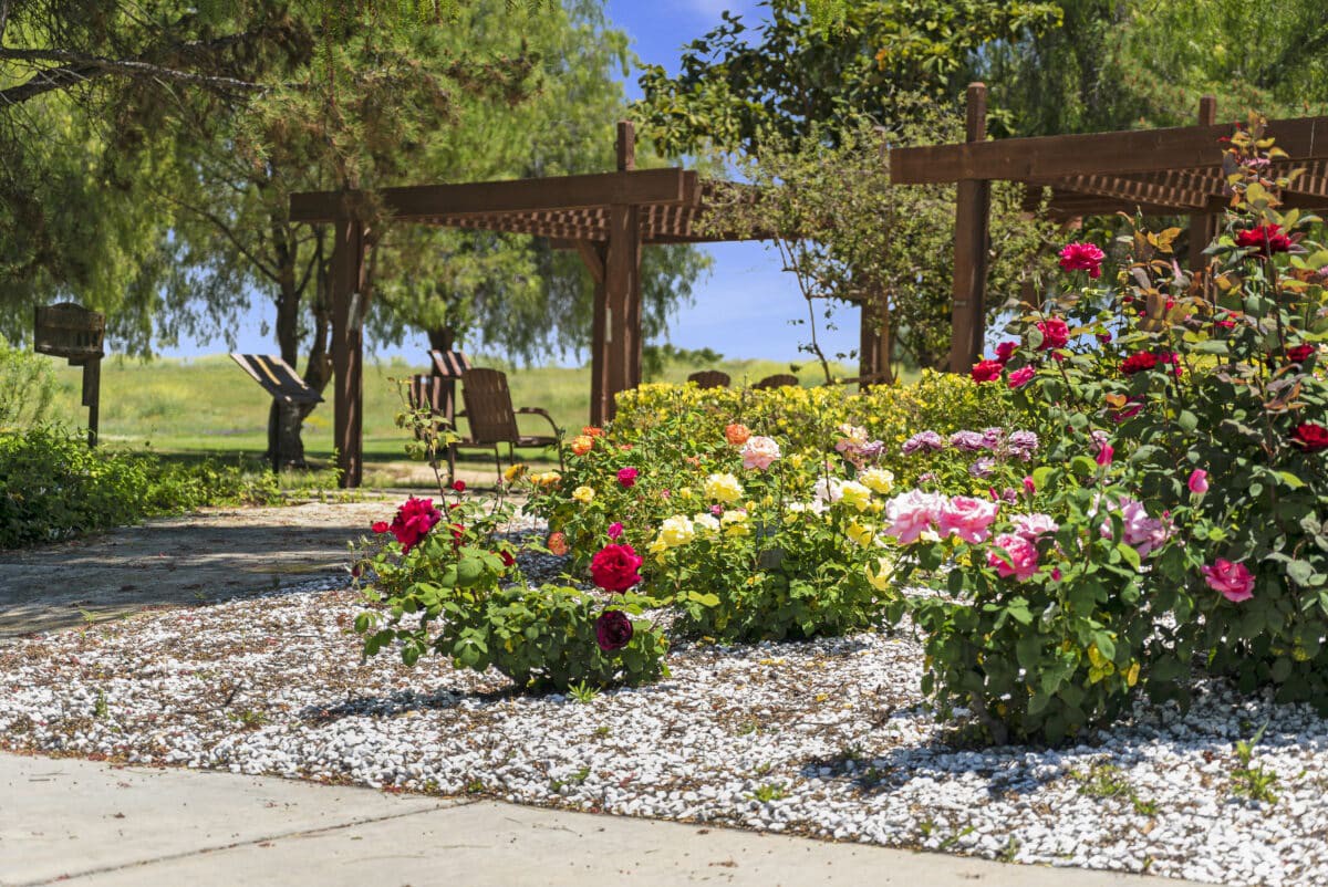 A vibrant garden with colorful flowers and a wooden pergola under a sunny sky.
