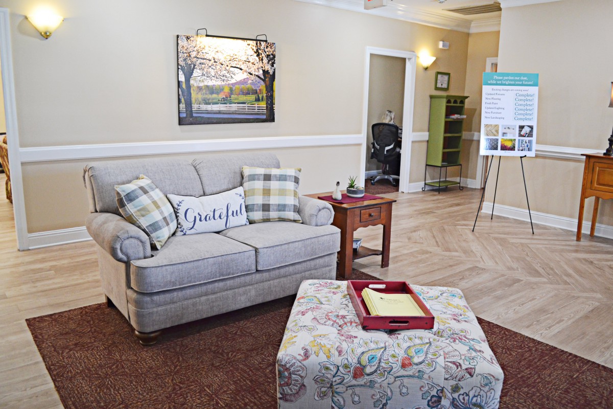 A cozy living room with a comfortable sofa, cushions, and a decorative coffee table.
