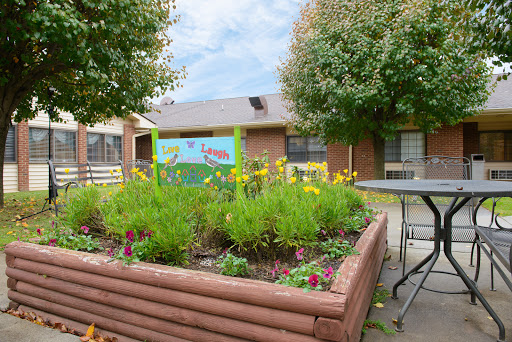A vibrant community garden filled with flowers, surrounded by a building and trees.
