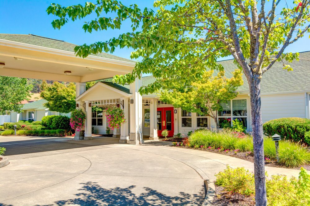 A sunny view of a building entrance surrounded by lush greenery and landscaping.