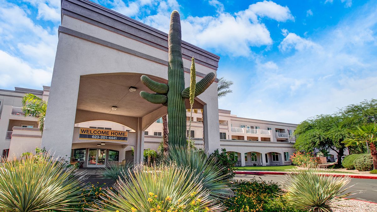 A large cactus stands prominently in front of a hotel building under a blue sky.