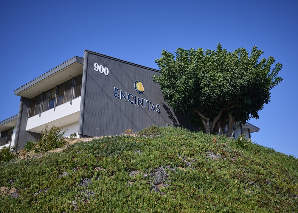 A modern building with a company logo on its exterior wall, surrounded by greenery and under a clear blue sky.