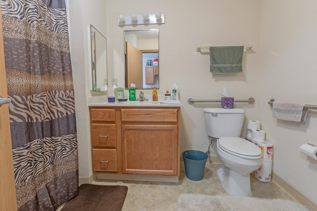 A tidy bathroom featuring a wooden vanity with a mirror, toilet, and a shower curtain.