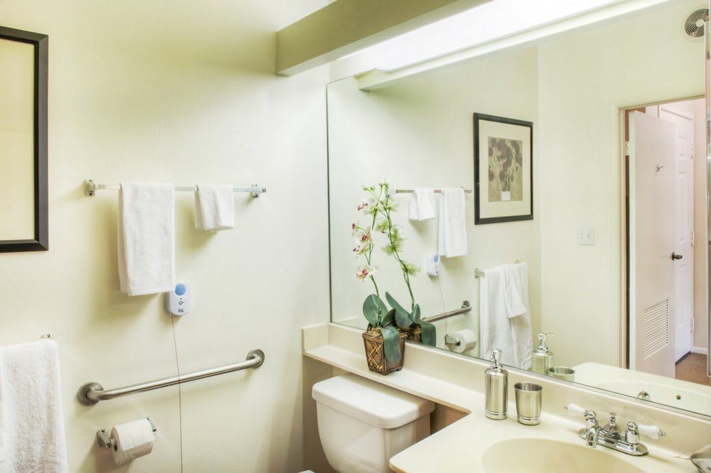 A clean and well-organized bathroom featuring a large mirror, towels, and a potted plant on the countertop.
