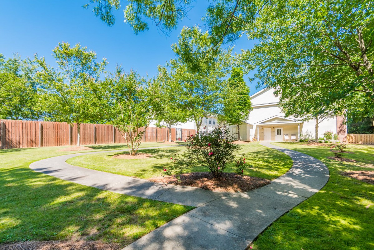 A sunny residential yard with a pathway, trees, and a wooden fence.
