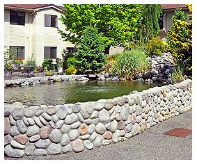 A scenic outdoor pond with a rock wall in a garden setting near a residential building.