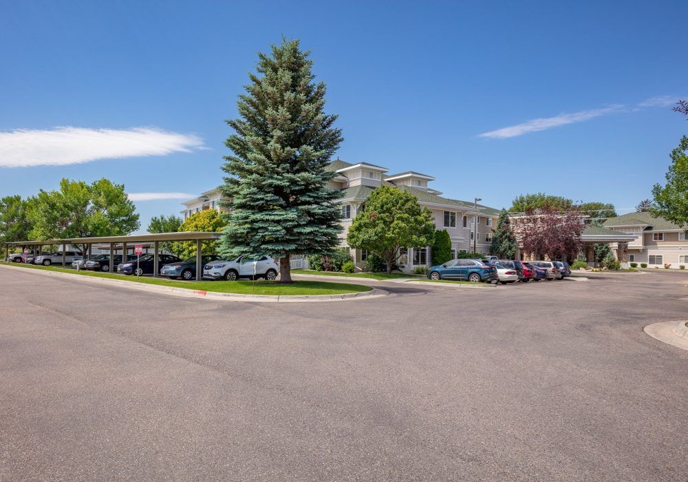 A building surrounded by trees and a parking lot with cars under a clear blue sky.