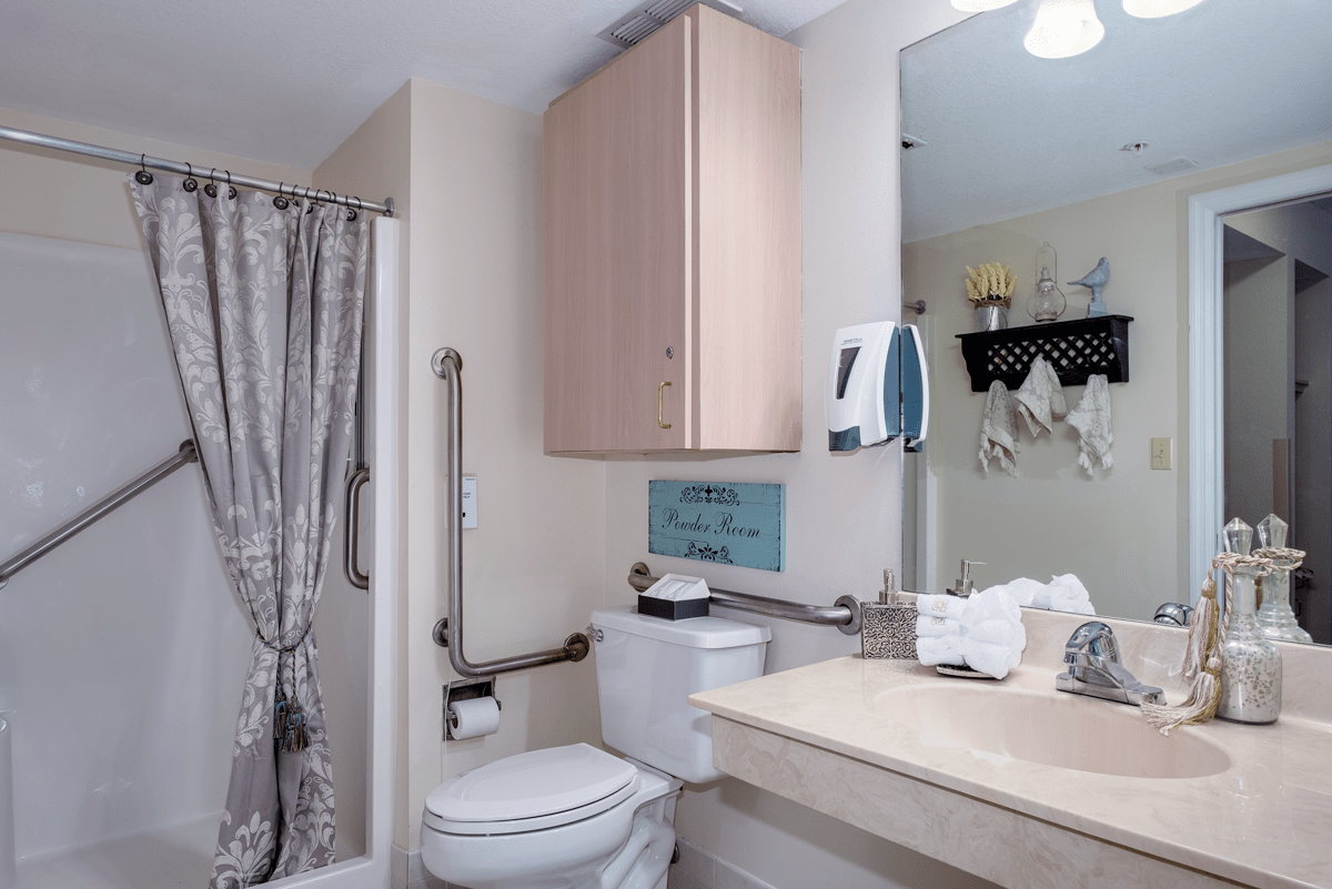 A clean and accessible bathroom featuring a toilet, sink, mirror, and shower with handrails.