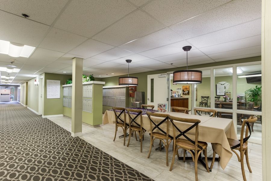 A spacious room with a long dining or conference table, surrounded by chairs and illuminated by pendant lights, featuring green walls and a carpeted floor.