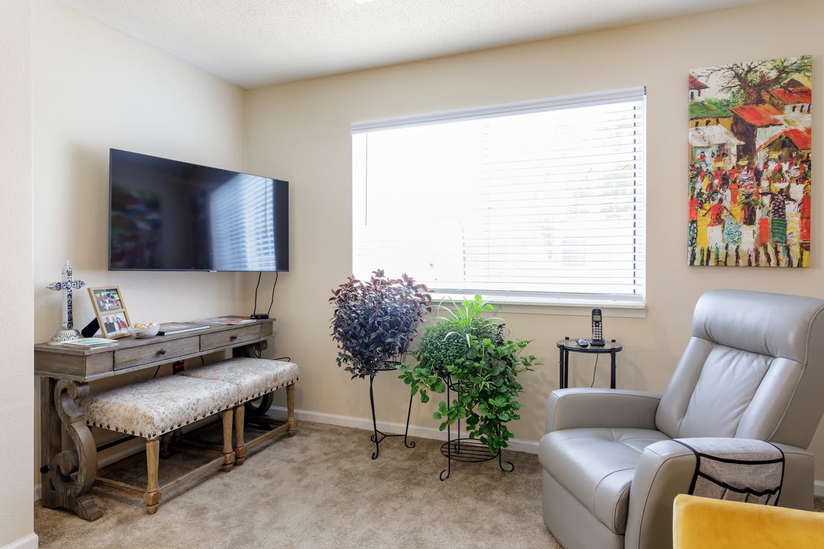 A cozy living room with a television, armchair, bench, and indoor plants near a window.