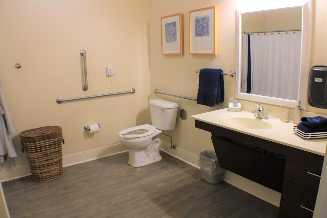 An accessible bathroom with a toilet, sink, grab bars, and framed artwork on the wall.