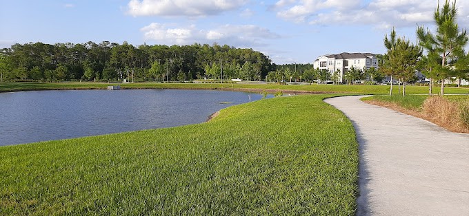 A serene landscape featuring a pond, green grass, and a clear blue sky with buildings in the distance.