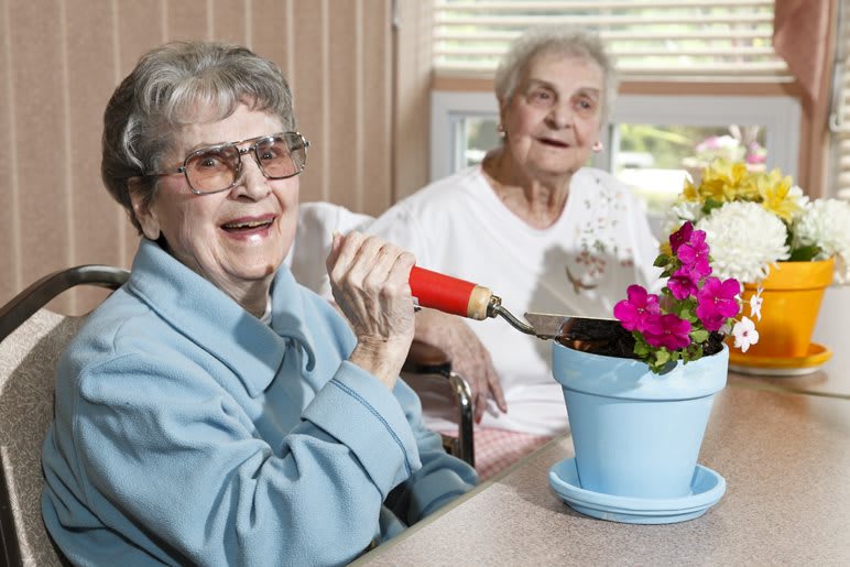 Two elderly women enjoying gardening indoors with a potted flower.