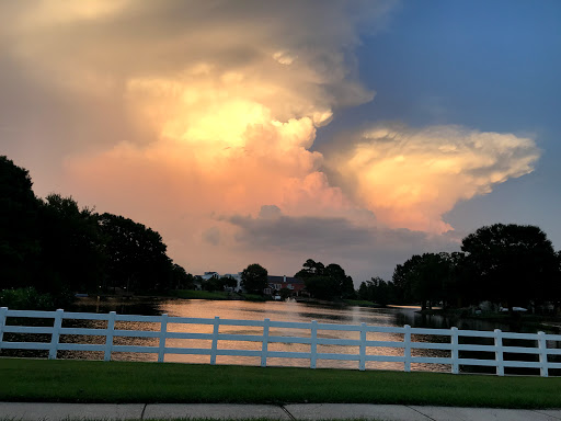 A tranquil sunset reflecting on the water, framed by lush trees and soft clouds.