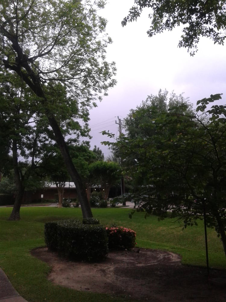 A peaceful park scene with lush greenery and overcast skies.