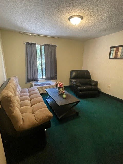 A cozy living room with a sofa, armchair, and coffee table on a green carpet.