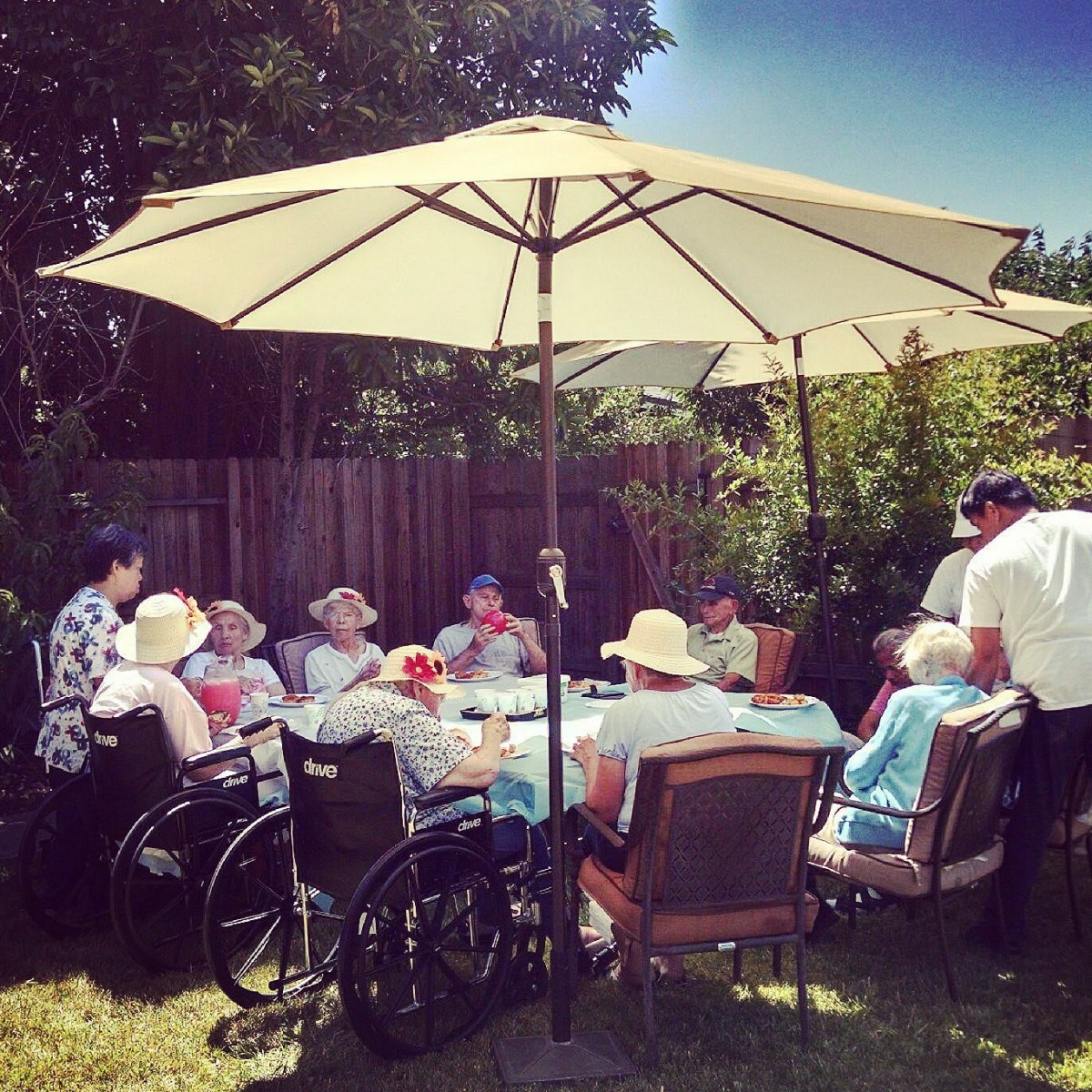 A group of people enjoying an outdoor gathering under a large umbrella in a garden setting.