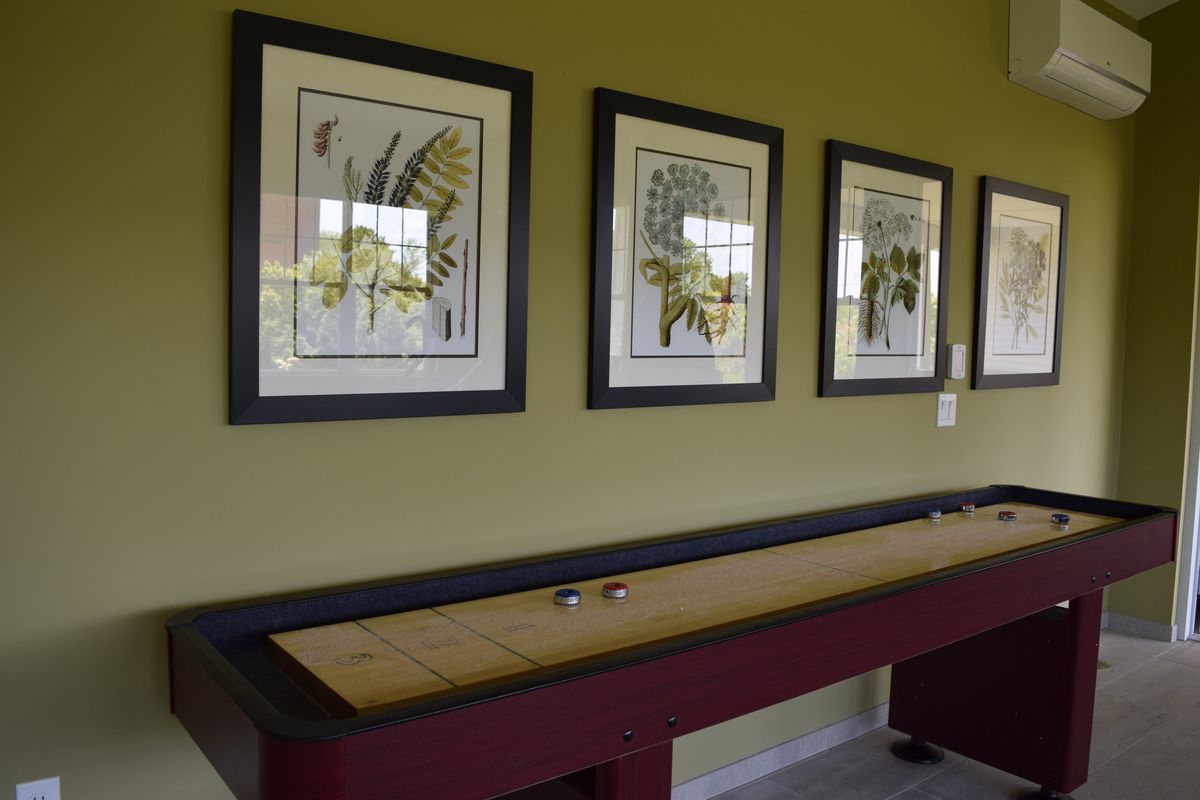 A shuffleboard table in a game room with framed wall art.