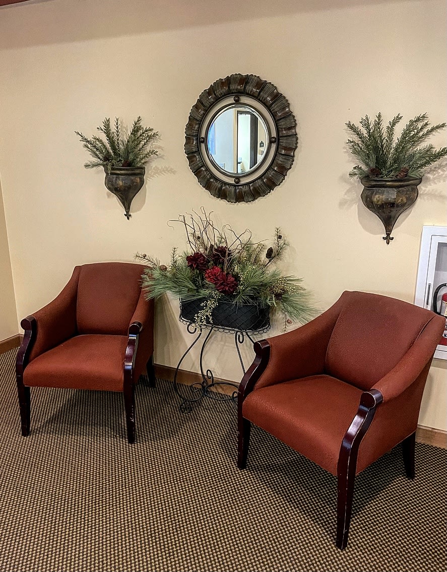 A cozy waiting area with two chairs, decorative plants, and a wall mirror.