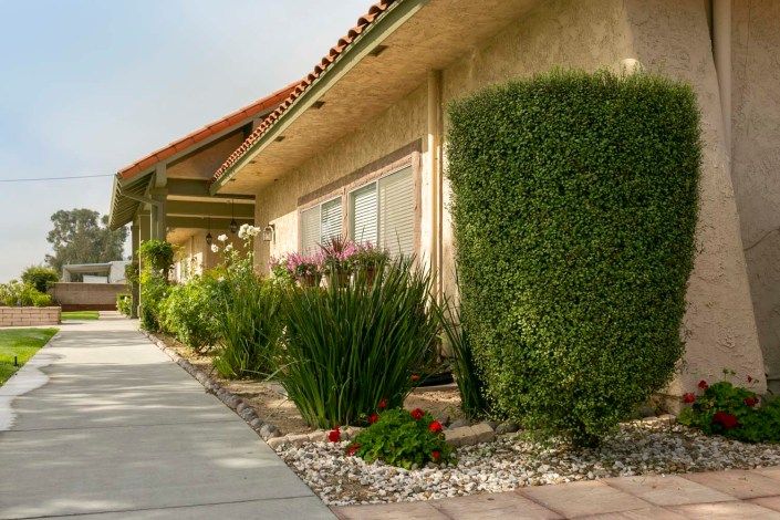 A residential building with neatly trimmed shrubs and a paved walkway.
