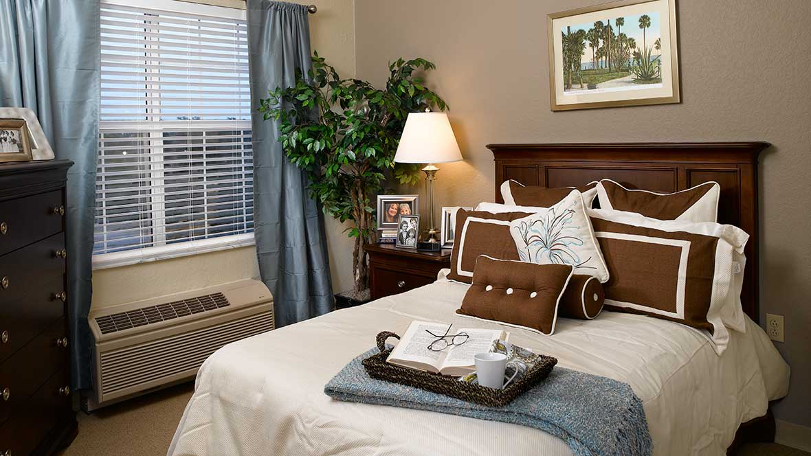 A cozy bedroom with a neatly made bed, bedside lamp, and a large potted plant by the window.
