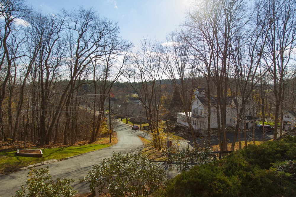 A serene winter neighborhood scene with bare trees and sunlight casting shadows on the winding road.
