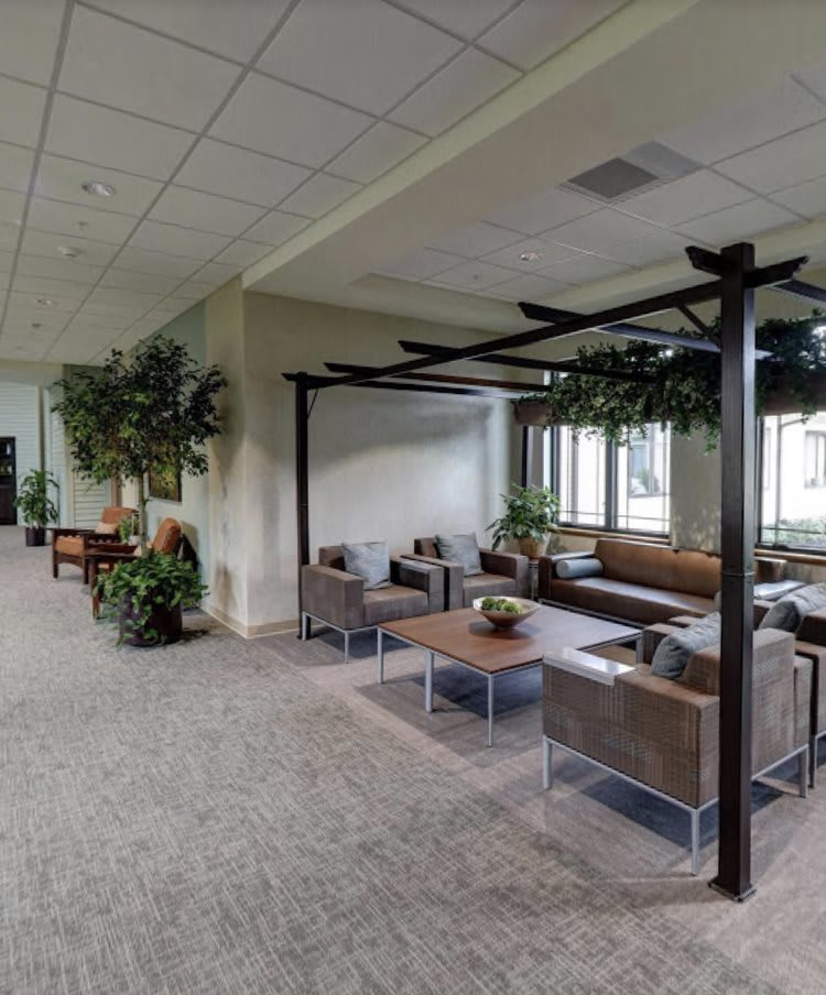 A modern office lobby with comfortable seating and greenery.
