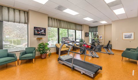 A well-lit gym with various fitness equipment including treadmills and exercise bikes, complemented by indoor plants and a television.