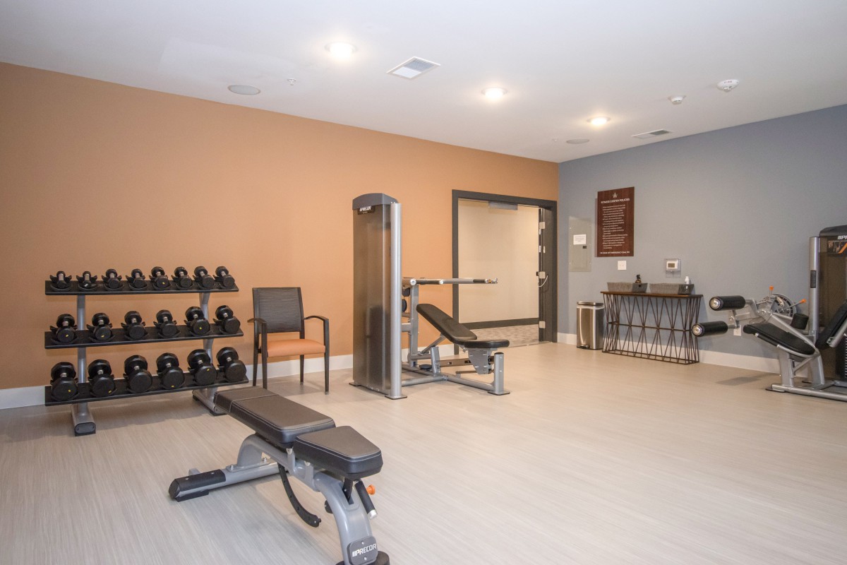 A well-equipped gym featuring weights, a bench, and other fitness equipment.
