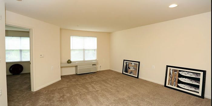 A minimalist empty room with a carpeted floor, a window allowing natural light, and a framed picture leaning against the wall.