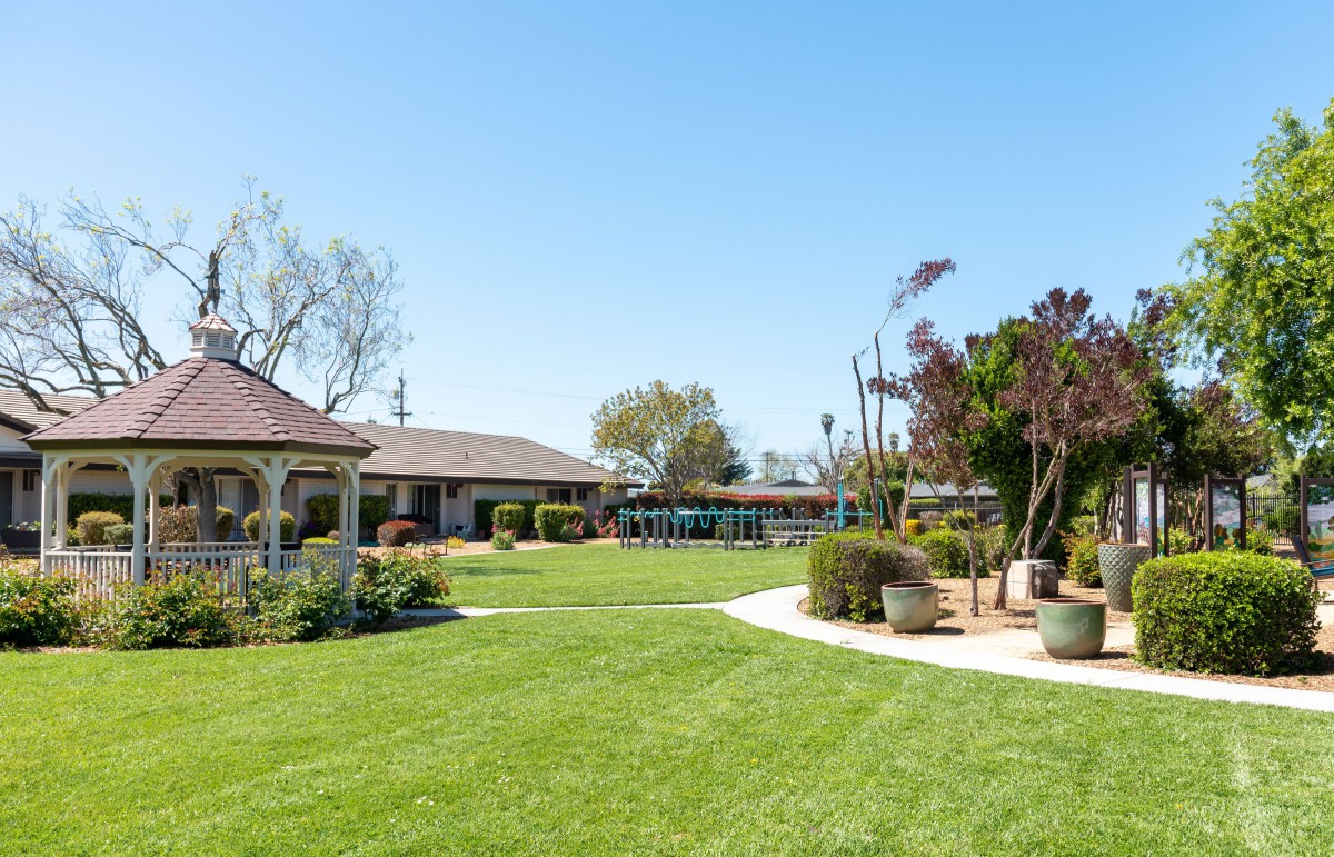 A well-maintained garden area with lush green grass, surrounded by trees and plants.