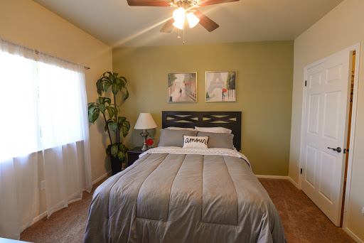 A cozy bedroom featuring a neatly made bed, green walls, and decorative elements.